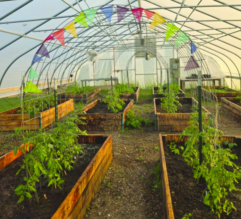 Student-led projects bring local food to school lunchrooms